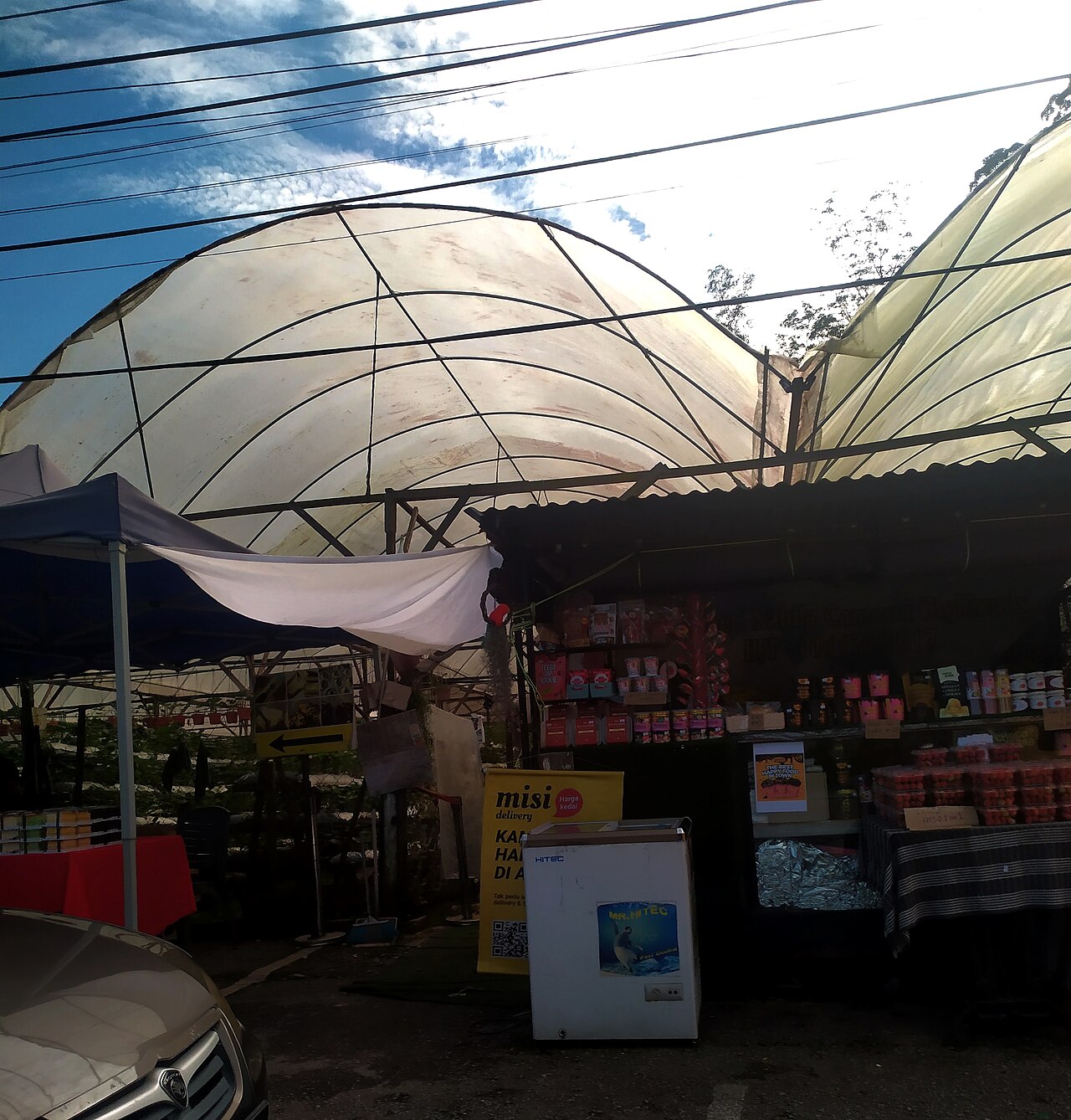 Strawberry farm at Kampung Taman Sedia in Cameron Highlands for farm stop planning